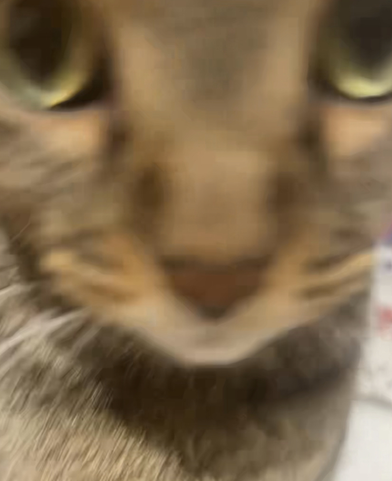 Zeus